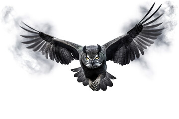 Image of an owl is flying and black smoke before white background. Birds. Wildlife Animals.