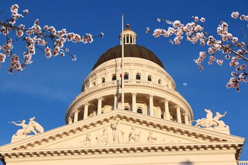 Sacramento - California State Capitol. Spring time cherry blossoms.