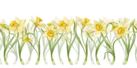 Seamless border of watercolor daffodils. Spring flowers for your design.