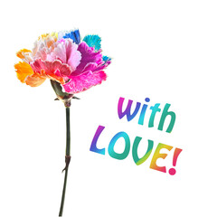 A close-up photo of a vibrant rainbow-colored carnation with the words With Love written on its...