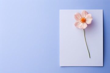 A beautifully composed top-view image of a small flower on a solid pastel surface, designed for personalized text inclusion.