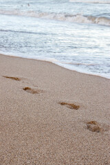 Fototapeta na wymiar Pisadas en la arena a la orilla del mar