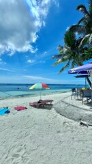beach with palm trees