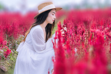 Beautiful young woman in short white dress and straw hat in field with cockscomb flower and holds cockscomb flower, Female relaxing, Rural simple life. - 734038477