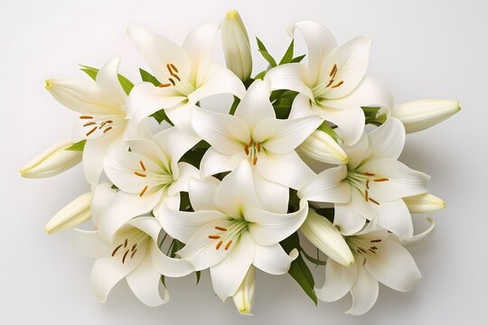 Cluster of lilies seen from above, their elegant petals offering a refined space for your thoughtful text.