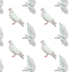 Watercolor birds flying pigeons paattern. Birds print. Hand painted illustration in natural colors on white backround.