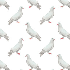 Obraz premium Watercolor birds flying pigeons paattern. Birds print. Hand painted illustration in natural colors on white backround.