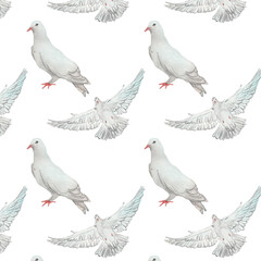 Watercolor birds flying pigeons paattern. Birds print. Hand painted illustration in natural colors on white backround.