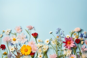 High-definition photo of assorted wildflowers on a pastel surface, designed for seamless text integration.