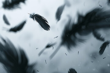 black feathers falling through the air in the style o - obrazy, fototapety, plakaty