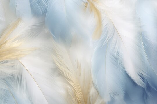 Fototapeta Beautiful closeup feather background in light blue and gold colors. Macro texture of colorful fluffy feathers from tropical bird. Minimal abstract pattern with copy space