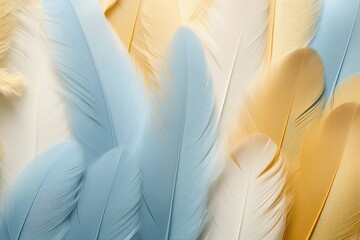 Beautiful closeup feather background in light blue and gold colors. Macro texture of colorful...