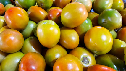 Close-up of a mix of ripe and unripe tomatoes, featuring a gradient of green to red colors