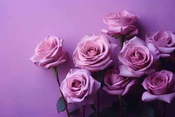 A composition of roses in rich tones of purple and magenta on a pastel lilac background, providing an ideal canvas for text design.