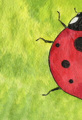 Watercolor illustration. Ladybug (Coccinellidae) on bright green and yellow background.