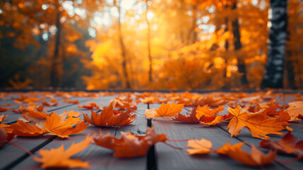 Orange fall leaves on wooden floor, autumn natural...