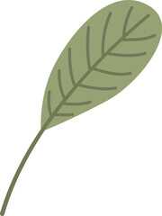 leaf Doodle cute for design elements.