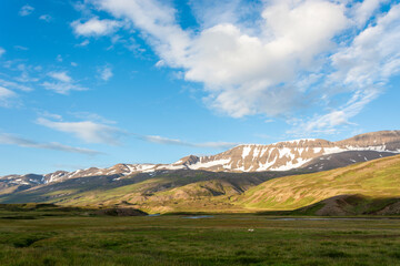Fototapeta na wymiar Icelandic summer landscape with snow-capped mountains and green meadows