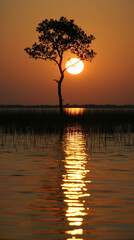 Sunset on the lake, a single tree stands silhouetted in the sunset, rooted in water, with the sun's reflection creating a path of light across the surface
