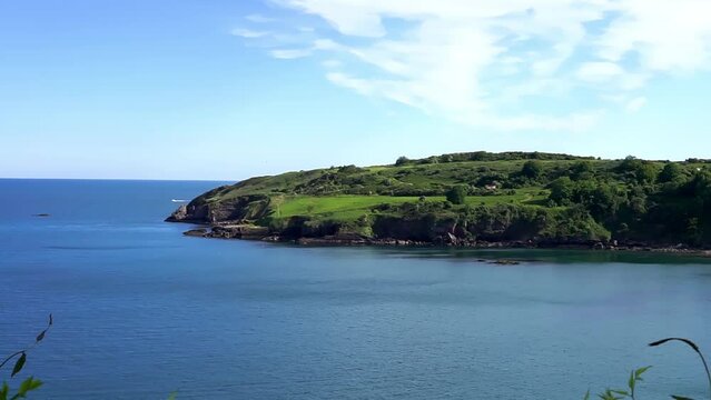 04 June 2021. Brixham, UK. View from the cliff in Berry Head at English Riviera Devon, UK. flowers on cliff.
