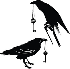 raven bird outlines holding antique style skeleton key - mystical animal black and white vector design set