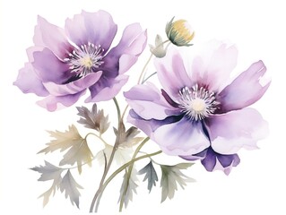 Two watercolor flowers illustration