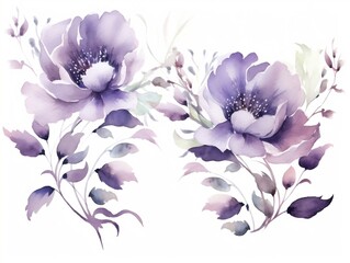 Two watercolor flowers illustration