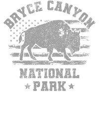 US National Park Retro Illustration Vintage Mountains Hiking Outdoor Nature