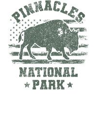 US National Park Retro Illustration Vintage Mountains Hiking Outdoor Nature