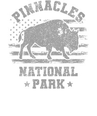 US National Park Retro Illustration Vintage Mountains Hiking Outdoor Nature