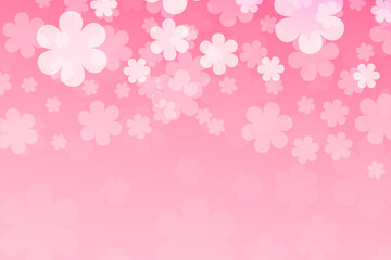 Pink background with white Sakura. Vector flat illustration. Spring background.