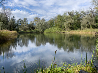 Fototapeta premium lake in the forest