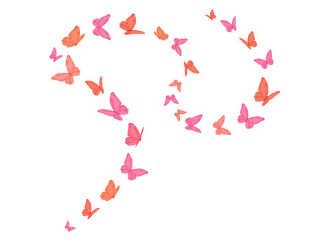 butterfly hand drawn design vector