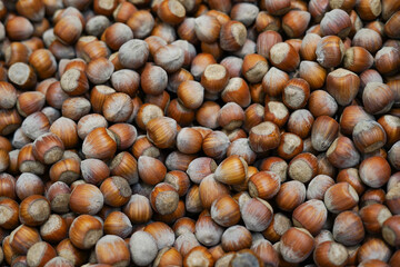 Photo of hazelnut. Hazelnut nut health organic brown filbert autumn background concept. Food background.