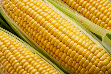 Ripe corn heads with corn whiskers and leaves.