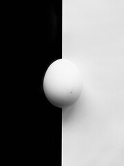 egg with a crack on a black and white background