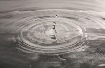 Fototapeta na wymiar Drops falling into clear water on grey background, closeup