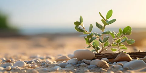 Tuinposter Stones with green plant on beach, closeup. Zen concept © Graphicsstudio 5