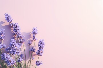 Top-down perspective of blooming lavender on a subtle pastel base, offering generous space for text.