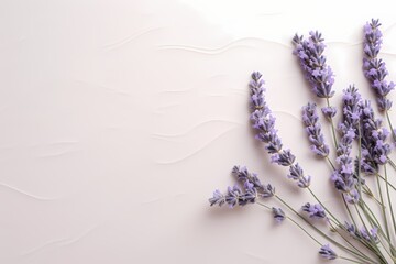 Top-down perspective of blooming lavender on a subtle pastel base, offering generous space for text.