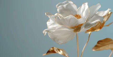 Foto op Plexiglas spring white fleur dor in the style of minimal retouc © studiosd