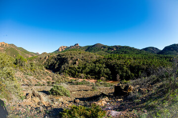 A small valley in the Estérel region of France. After the rain, a little water runs over the sloping rocks in the middle of the garrigue.