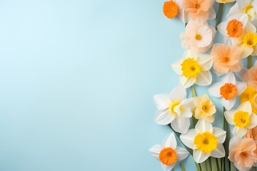 Top-down perspective of vibrant daffodils on a soft pastel backdrop, creating a picturesque scene for text overlay.