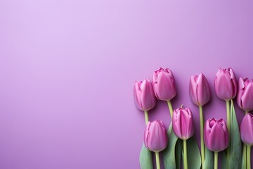 Vibrant tulip heads seen from above on a soft lilac background, presenting an inviting canvas for text.