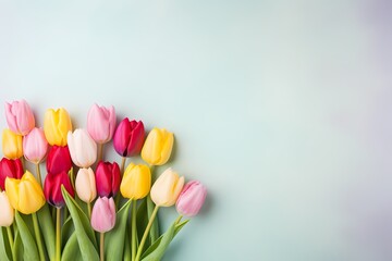 Vibrant tulips arranged in a top view on a soft pastel background with ample copy space for text.