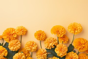 A HD photo featuring top-down view of marigolds on a soft pastel backdrop, perfect for text integration.