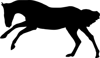 Horse Silhouette Vector Illustration. Wild Horse racing PNG on transparent background