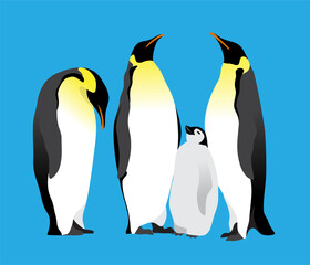 Emperor penguins on a bright blue background. Set of isolated vector illustrations