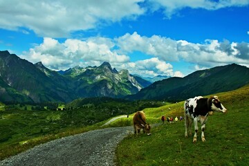 Austrian Alps - view of tourists on the way to lake K&ouml;rbersee in the Lechtal Alps