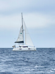 Fototapeta premium a catamaran sailing in the open ocean